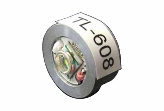 BULBO AL LED 175 LUMEN PER TORCIA T606 ROYAL (TL608)